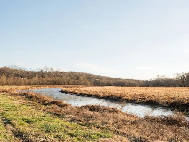 $11,995,000 | 6415 Pinewood Road, Nunnelly, TN 37137