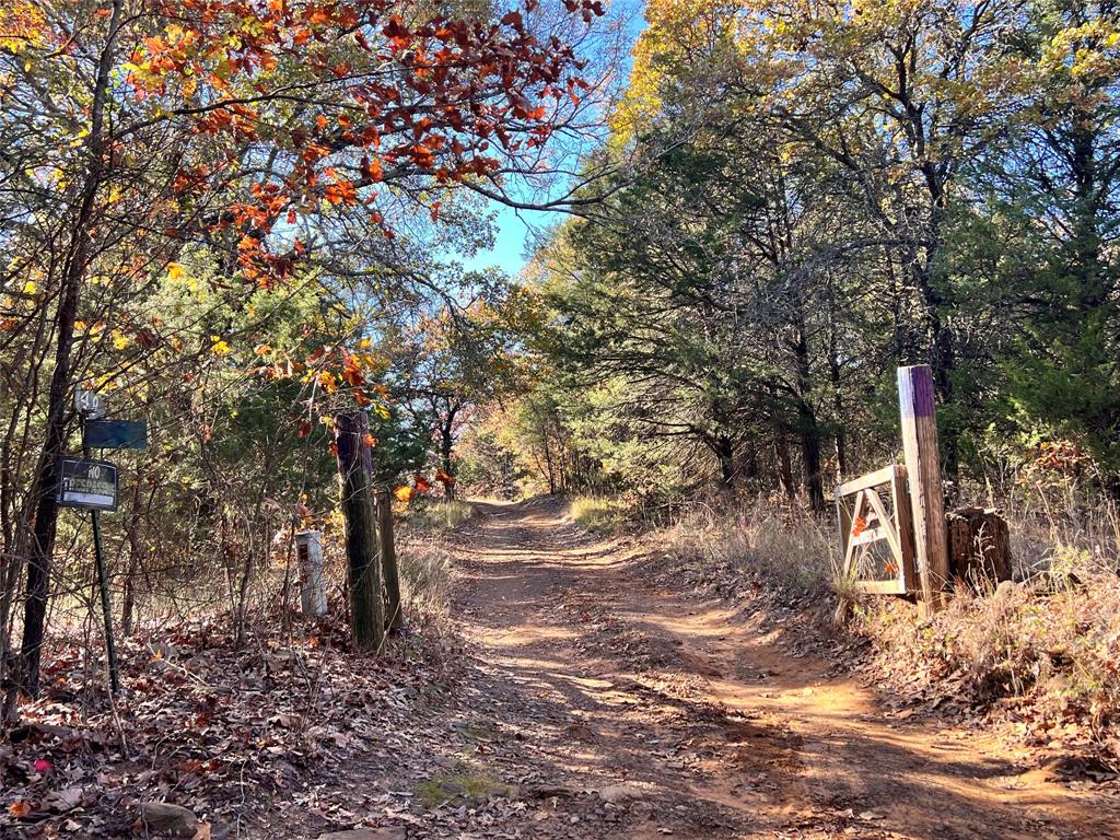 a front view of a house with a tree
