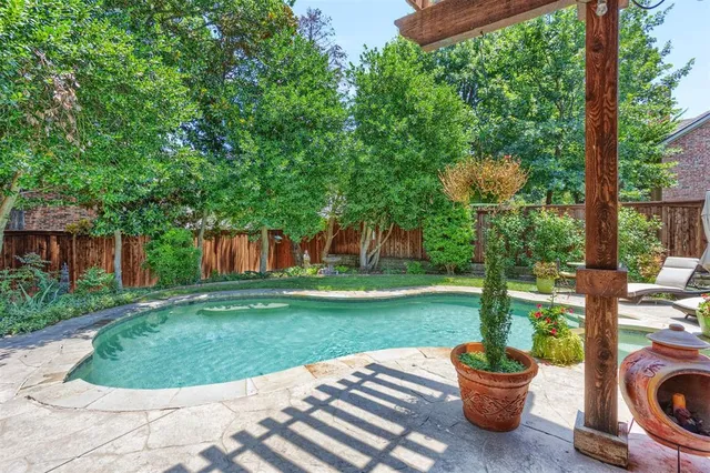 a view of a backyard with table and chairs potted plants and palm tree
