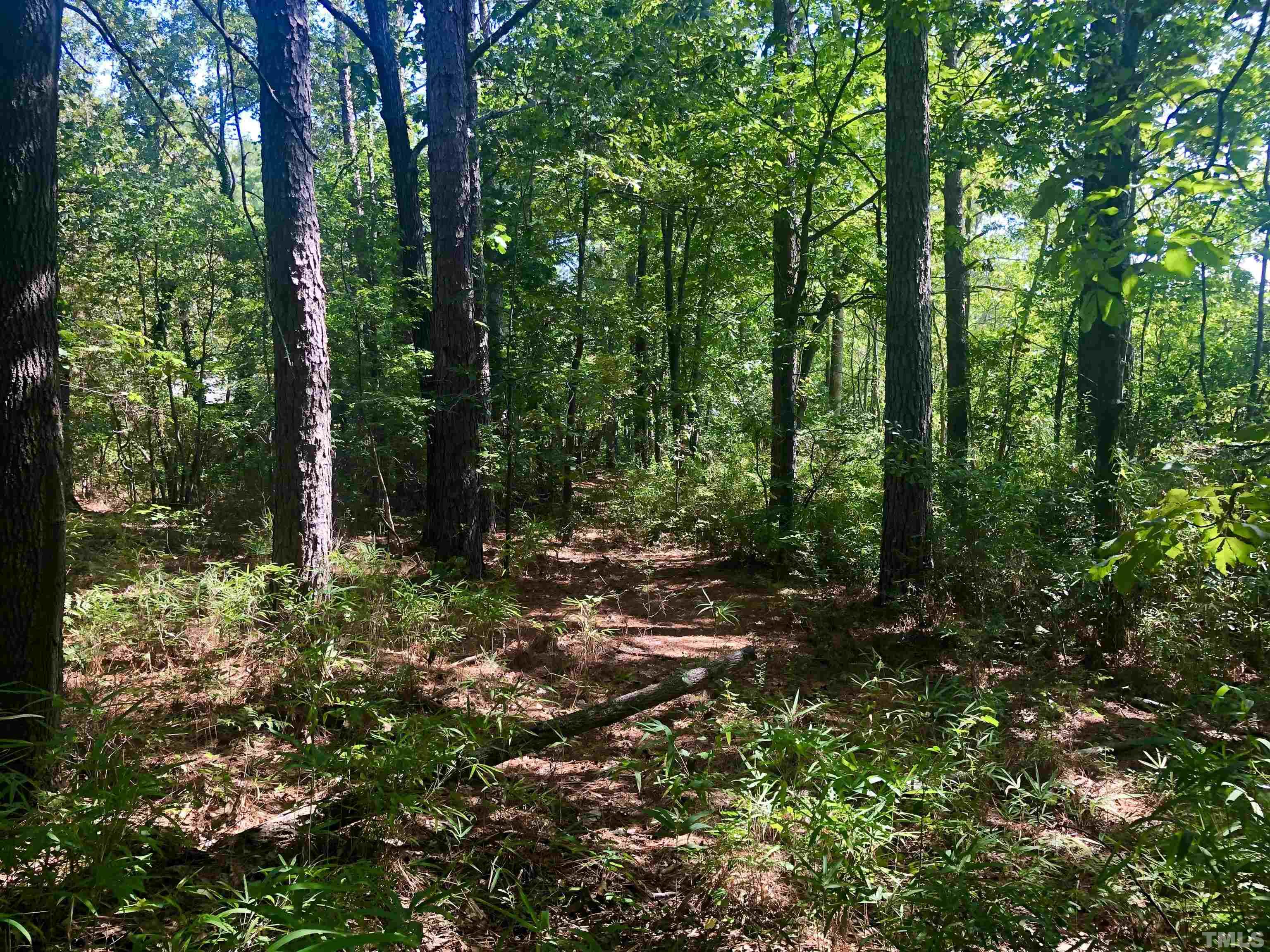 Tbd Santee Road Carthage, NC 28327 - Photo 3 of 6 Gallery Image 3