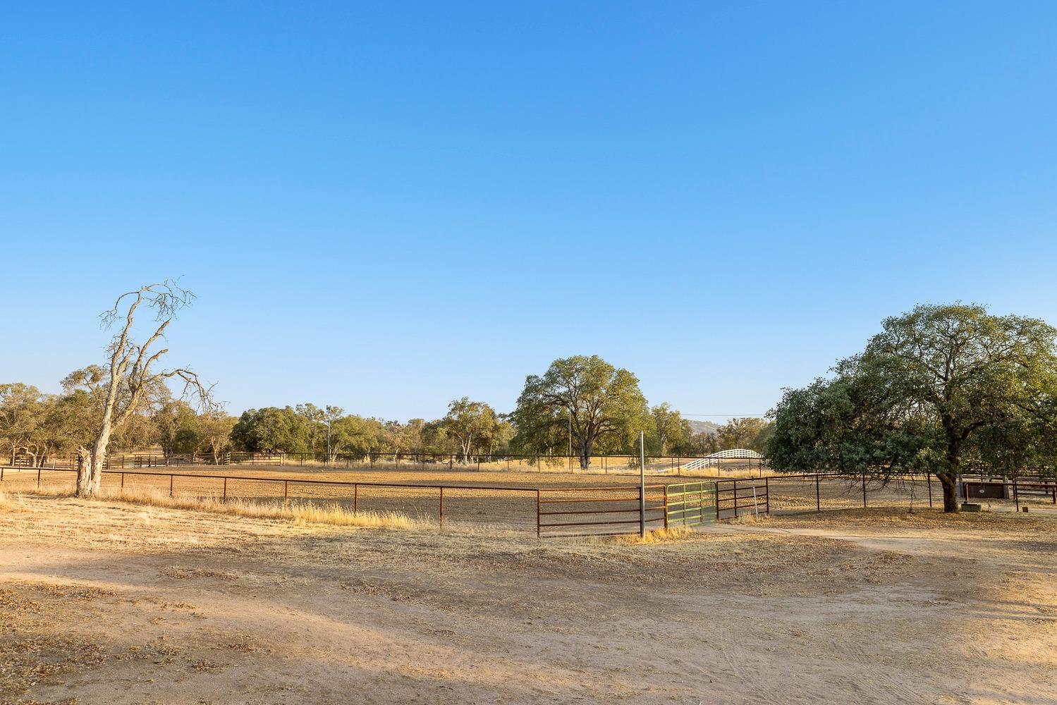 41005 Angus Road Coarsegold, CA 93614 - Photo 43 of 55 Gallery Image 43