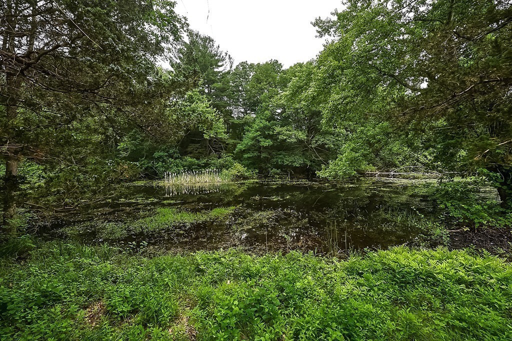 25 Langdon Road Wayland, MA 01778 - Photo 27 of 30 Gallery Image 27
