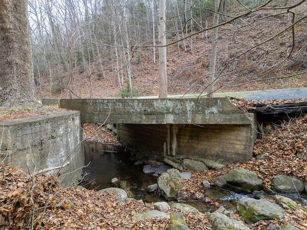 a view of a dry yard with trees