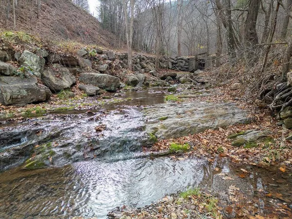 a dining room with furniture and a book shelf