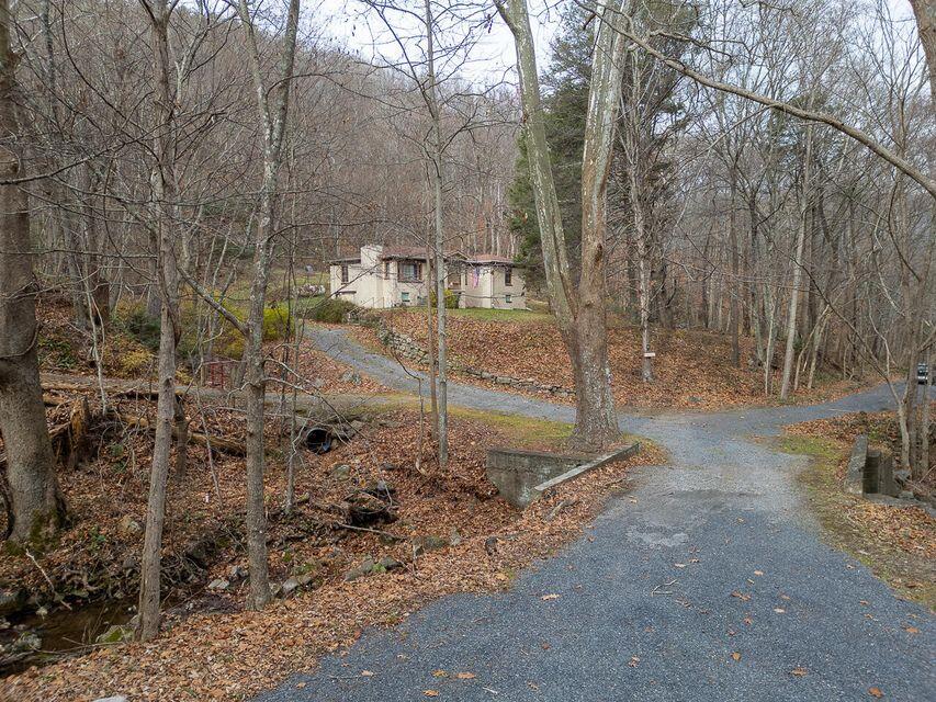 8122 Rich Patch Road Covington, VA 24426 - Photo 19 of 36 a view of a forest filled with trees