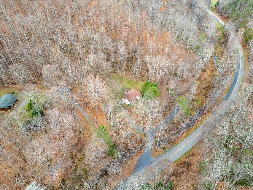 8122 Rich Patch Road Covington, VA 24426 - Photo 2 of 36 a view of a yard with large trees