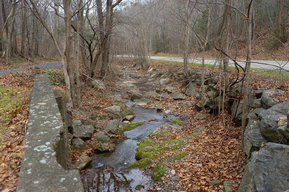 8122 Rich Patch Road Covington, VA 24426 - Photo 25 of 36 a view of backyard of a house