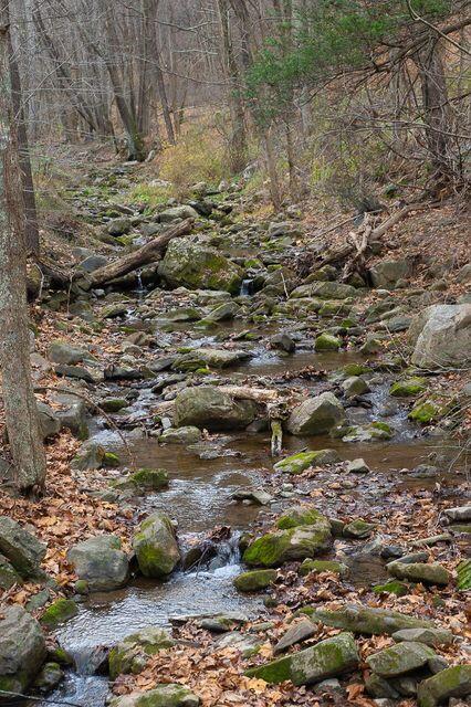 8122 Rich Patch Road Covington, VA 24426 - Photo 33 of 36