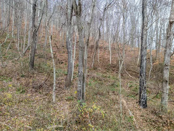 $179,950 | 8122 Rich Patch Road, Covington, VA 24426