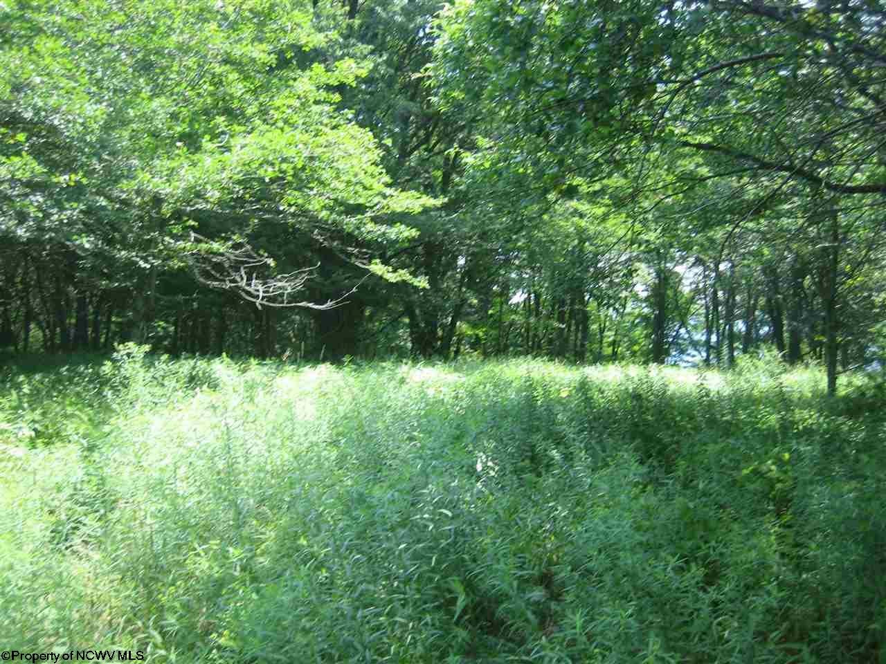 14 Pointy Knob Road Davis, WV 26260 - Photo 3 of 14 Gallery Image 3
