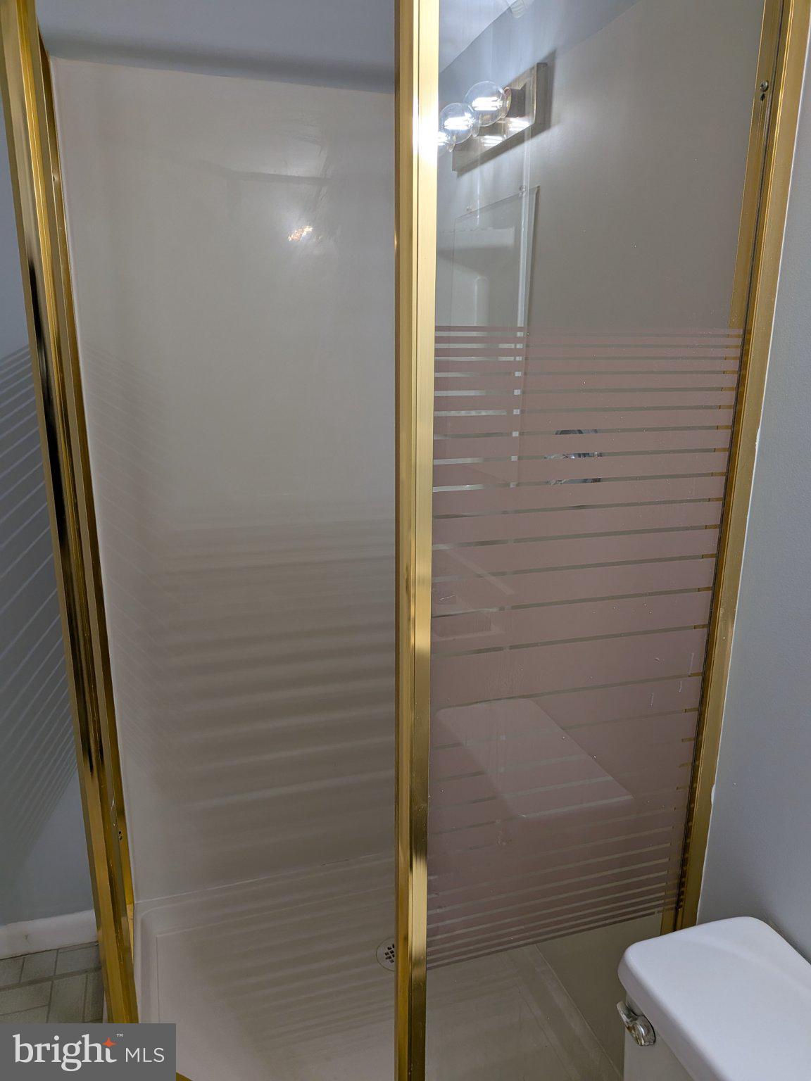 1516 Coat Ridge Road Herndon, VA 20170 - Photo 13 of 20 Elegant shower with golden accents.