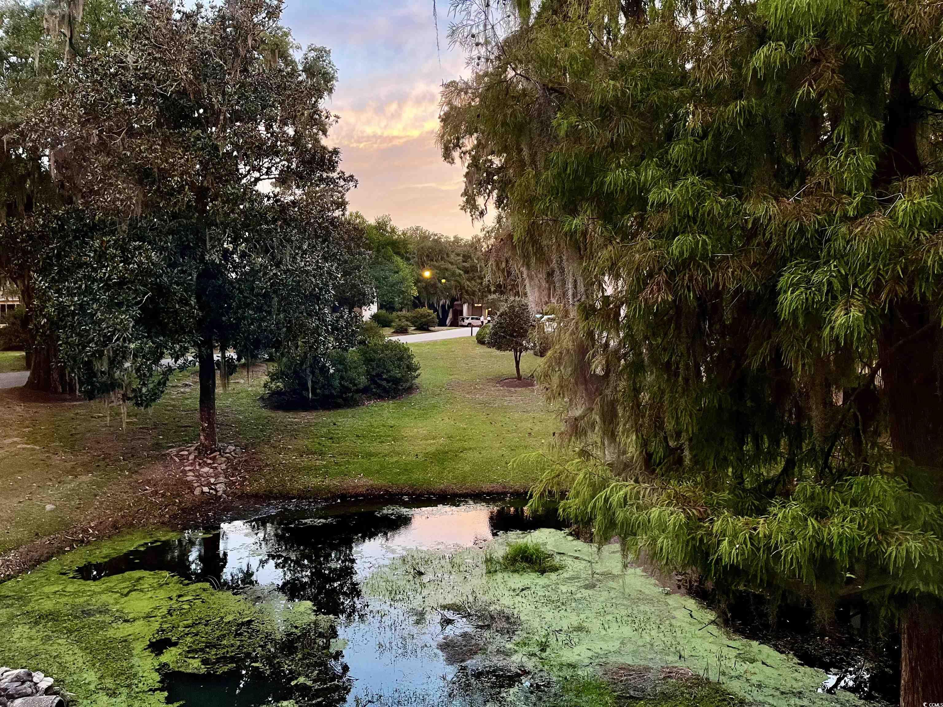 31 Battery White Court, Unit 1005 Georgetown, SC 29440 - Photo 15 of 34 View of community featuring a lawn