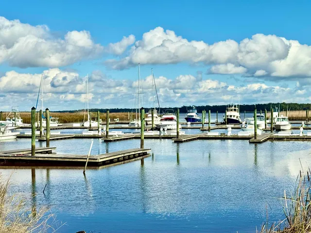 $259,900 | 31 Battery White Court, Unit 1005, Georgetown, SC 29440