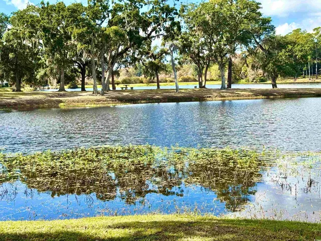 $259,900 | 31 Battery White Court, Unit 1005, Georgetown, SC 29440