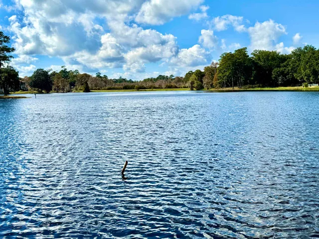 $259,900 | 31 Battery White Court, Unit 1005, Georgetown, SC 29440