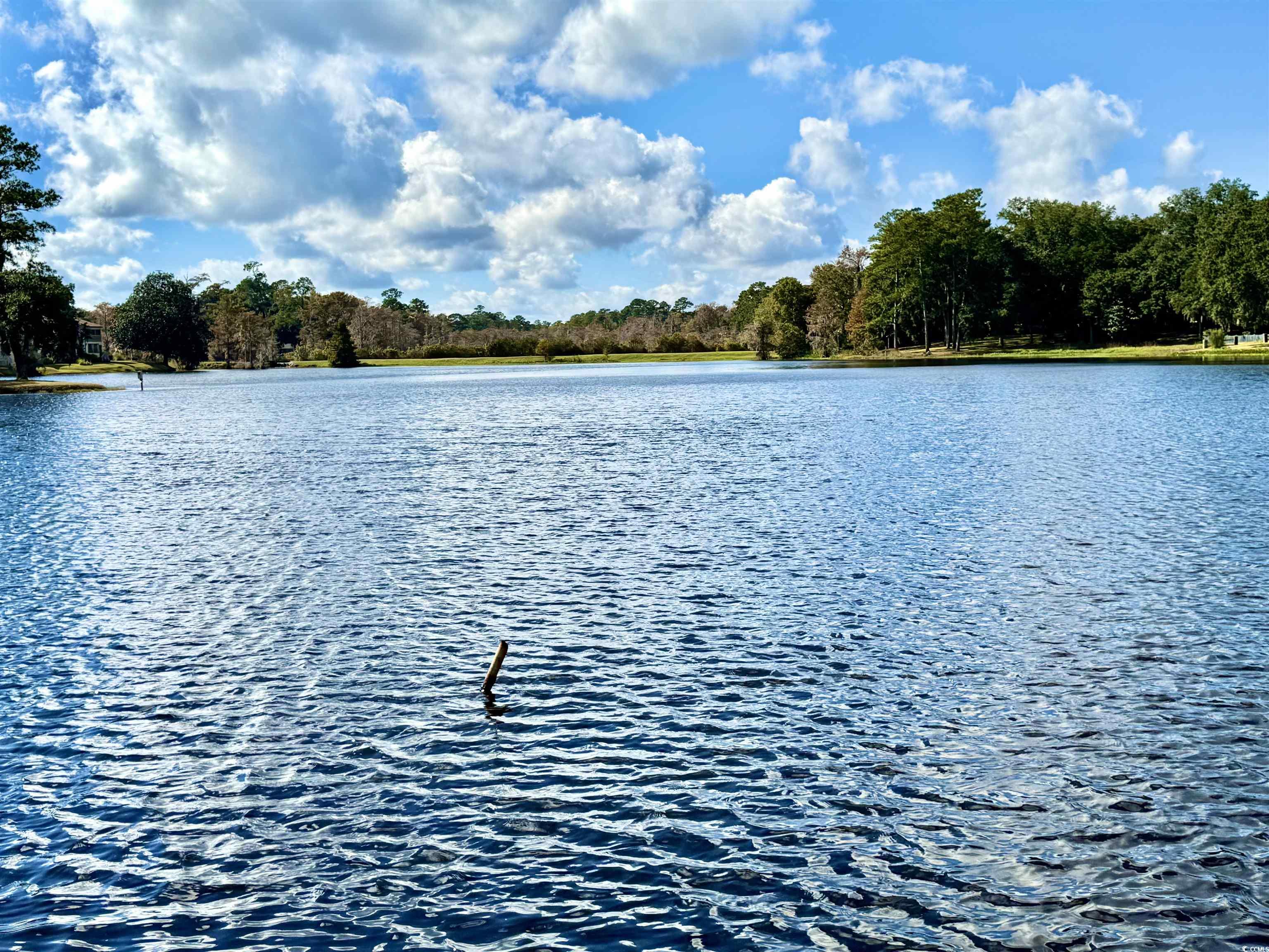 31 Battery White Court, Unit 1005 Georgetown, SC 29440 - Photo 22 of 34 Water view