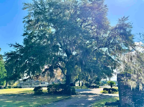 $259,900 | 31 Battery White Court, Unit 1005, Georgetown, SC 29440