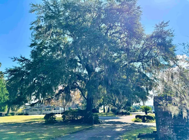 $259,900 | 31 Battery White Court, Unit 1005, Georgetown, SC 29440