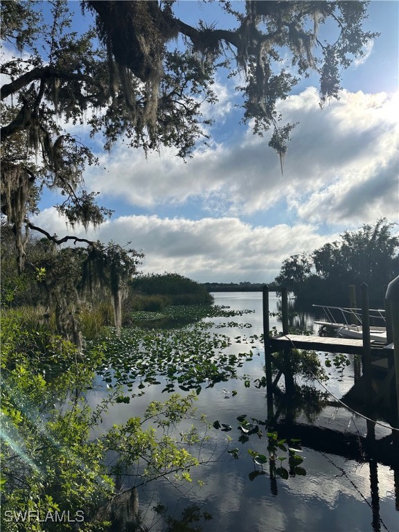 22890 North River Road Alva, FL 33920 - Photo 1 of 1 a view of a lake