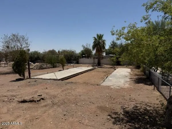 a view of a dry yard with trees