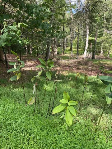 a backyard of a house with lots of green space