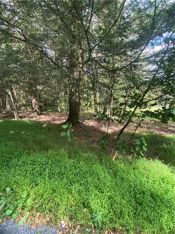 422 Red Oak Road Flinton, PA 16640 - Photo 2 of 2 a view of a yard with a tree