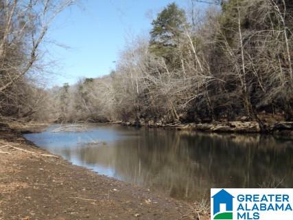 0 Pea Ridge Circle, Unit 424 Union Grove, AL 35175 - Photo 40 of 49