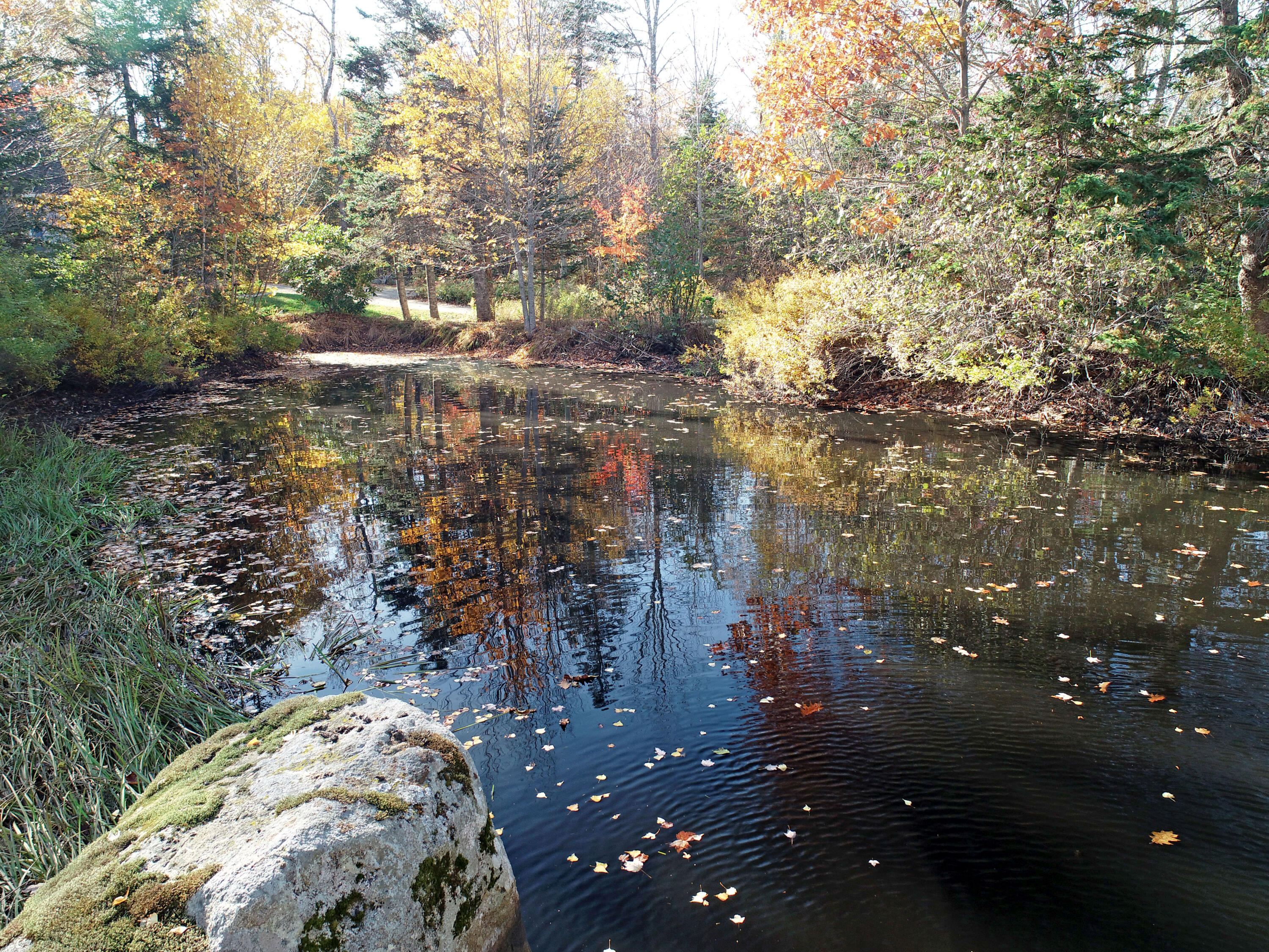 36 Indian Point Road Bar Harbor, ME 04609 - Photo 9 of 53 Pond (4)