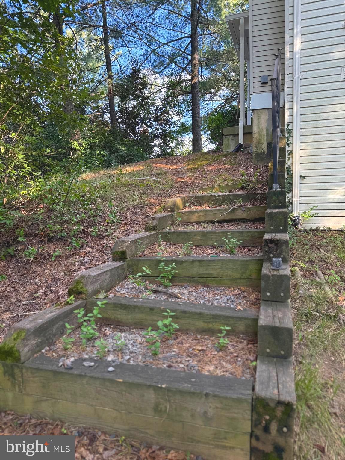 7028 Palamar Turn Lanham, MD 20706 - Photo 43 of 44 a view of a wooden door and a yard
