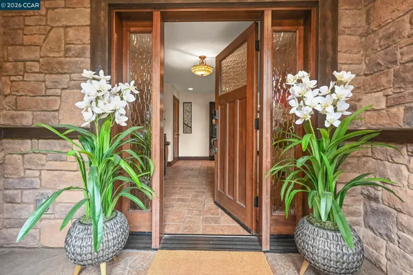 a potted plant sitting in front of a door