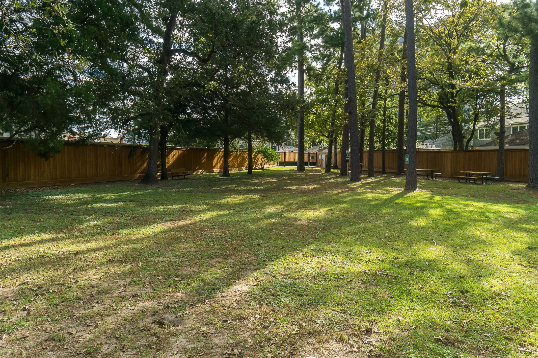 751 Bison Drive Houston, TX 77079 - Photo 39 of 45 a view of a yard with a tree