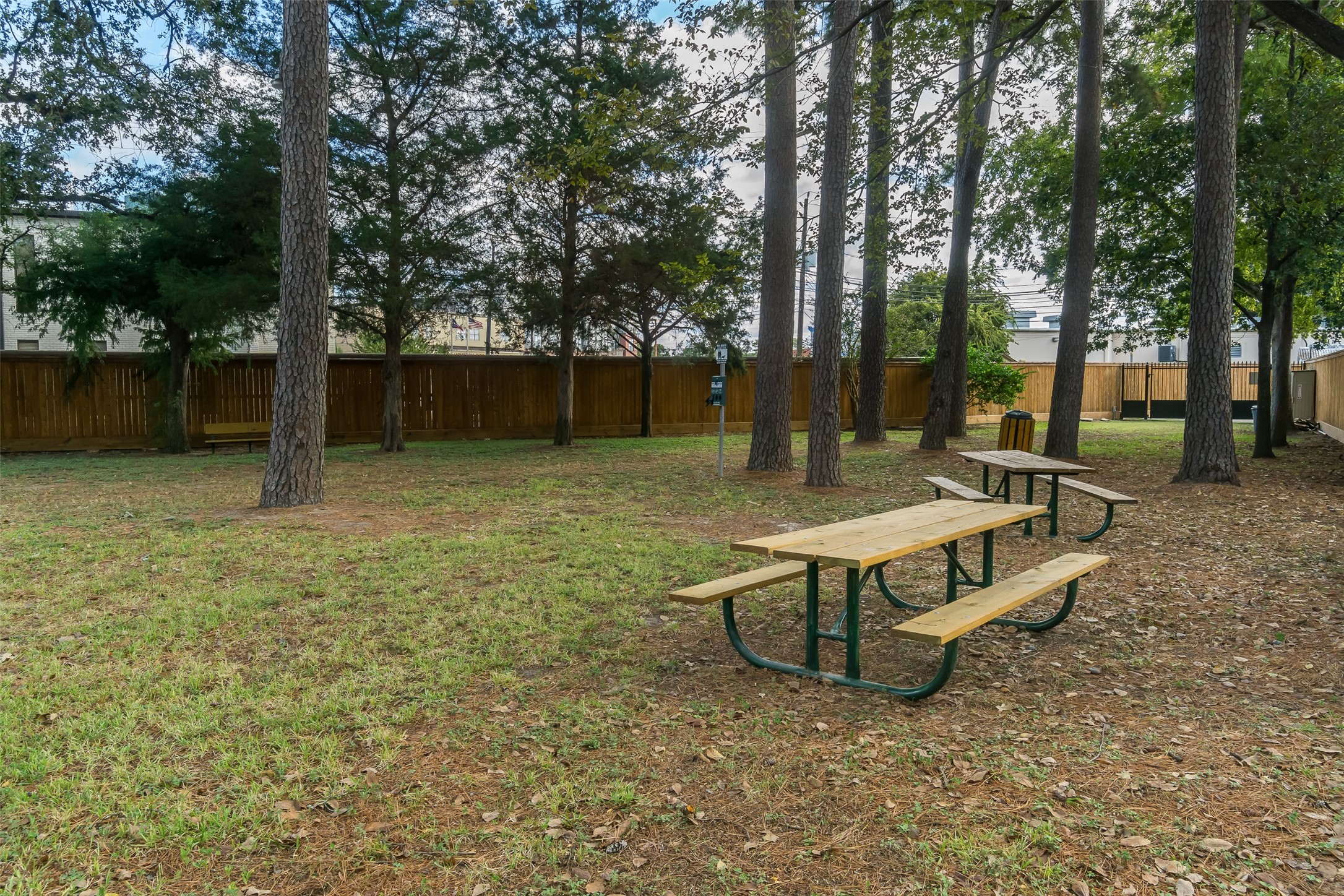751 Bison Drive Houston, TX 77079 - Photo 44 of 45 a view of a backyard with a small cabin