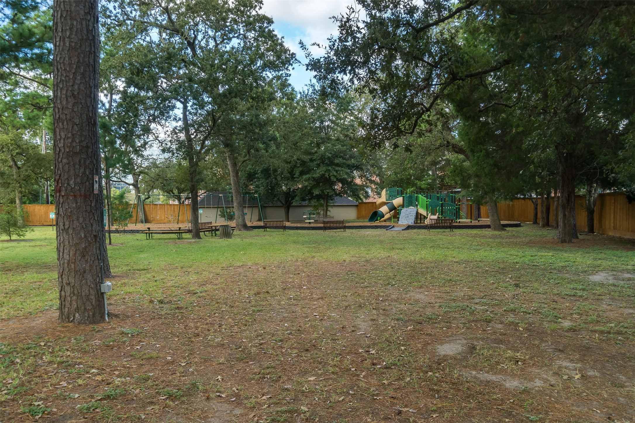 751 Bison Drive Houston, TX 77079 - Photo 45 of 45 a view of a park with large trees