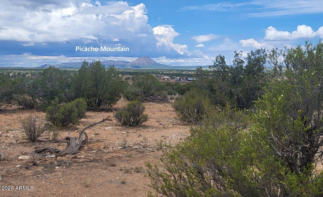 Lot 385 & Arizona Road, Unit 385 Ash Fork, AZ 86320 - Photo 3 of 10 a view of a city with lots of trees