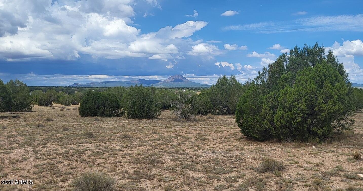 Lot 385 & Arizona Road, Unit 385 Ash Fork, AZ 86320 - Photo 8 of 10 a view of a dry yard with wooden fence