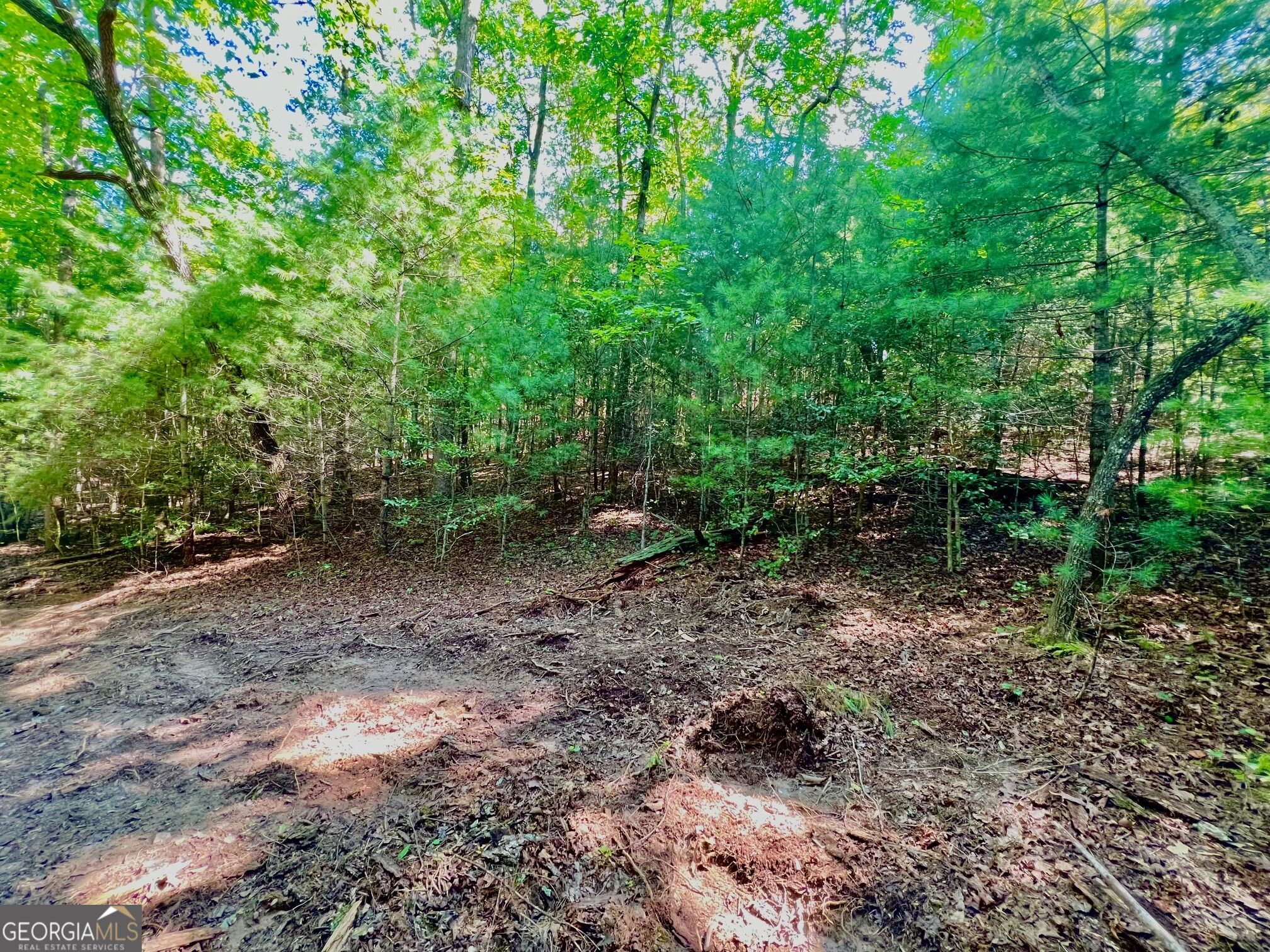 2 Afton Road Marble Hill, GA 30148 - Photo 16 of 19 Gallery Image 16