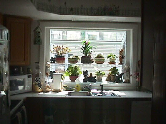 1920 Main St Road Spring Grove, IL 60081 - Photo 3 of 5 a table with wine bottles and sink on it