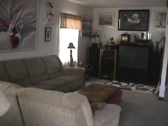 1920 Main St Road Spring Grove, IL 60081 - Photo 4 of 5 a living room with furniture and a flat screen tv