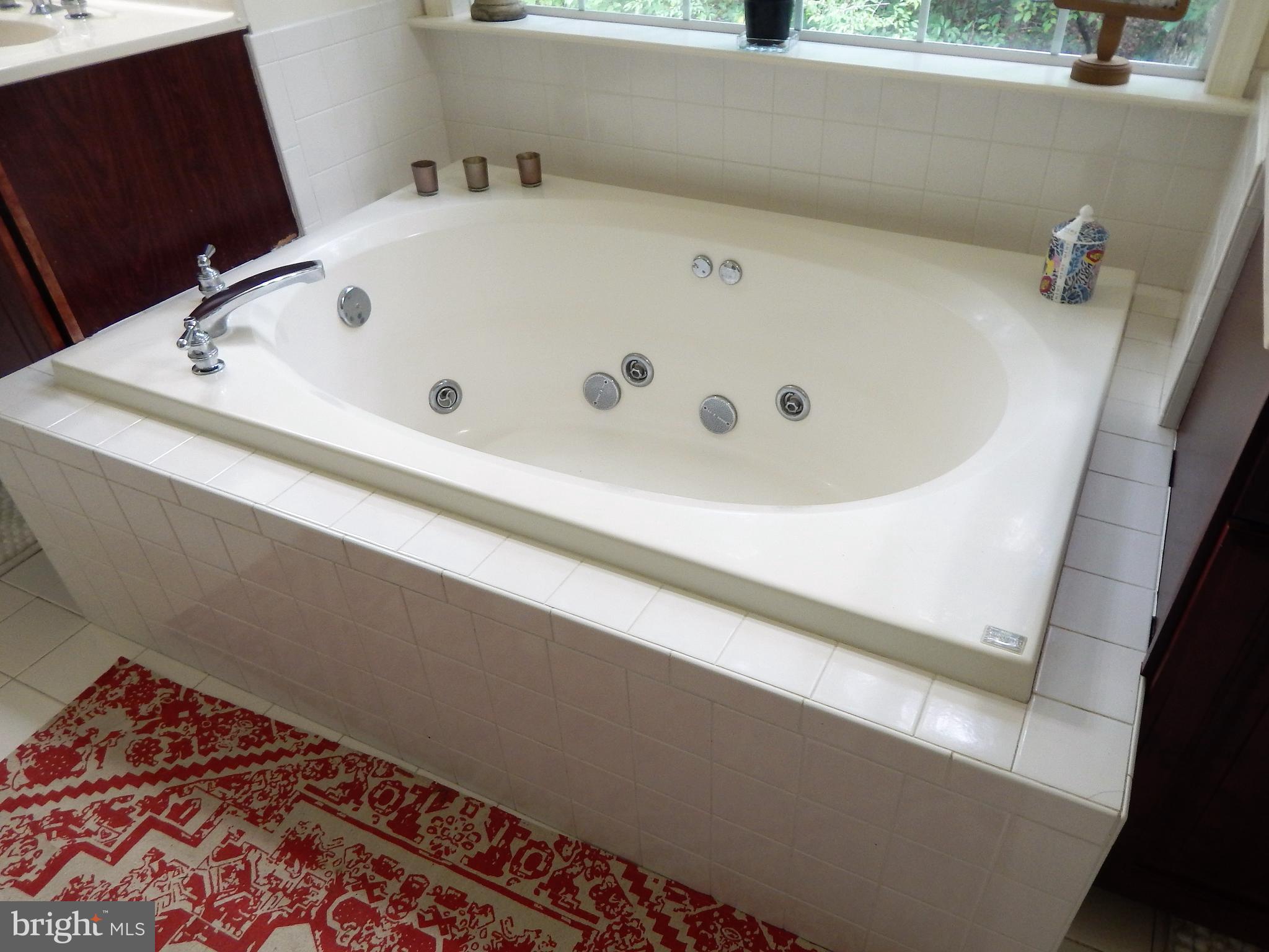 31263 Point Lookout Road Mechanicsville, MD 20659 - Photo 26 of 43 Soak/Jacuszzi tub