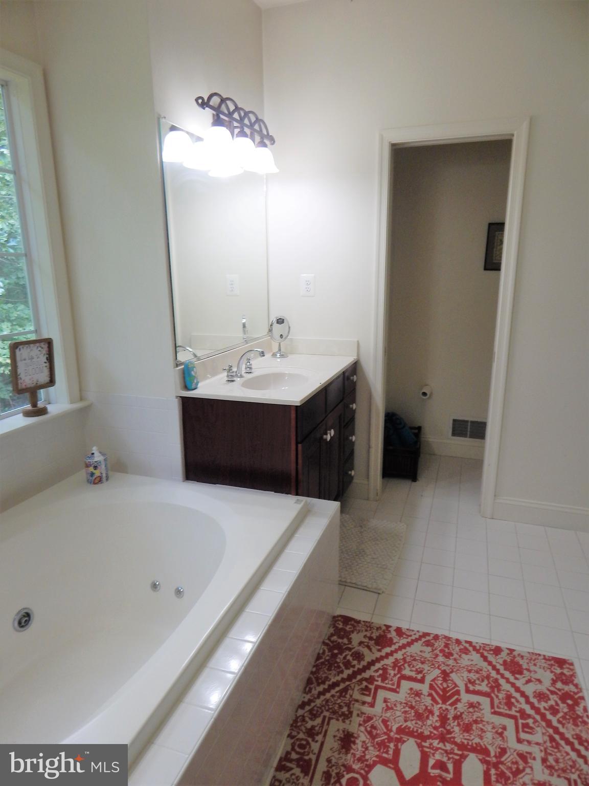 31263 Point Lookout Road Mechanicsville, MD 20659 - Photo 28 of 43 Master bath