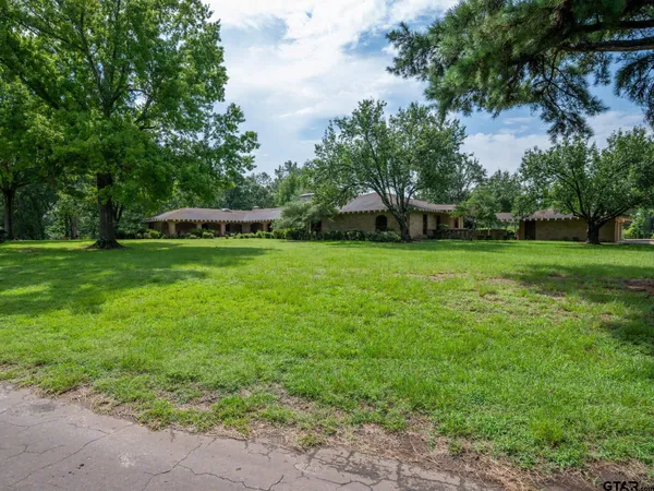 a view of a park with large trees