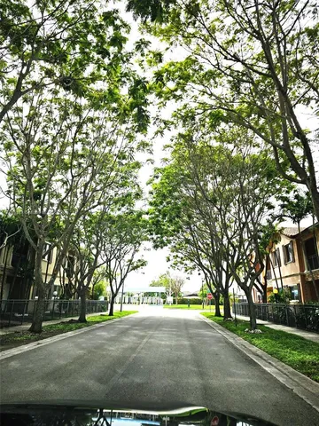 a view of a street with a tree