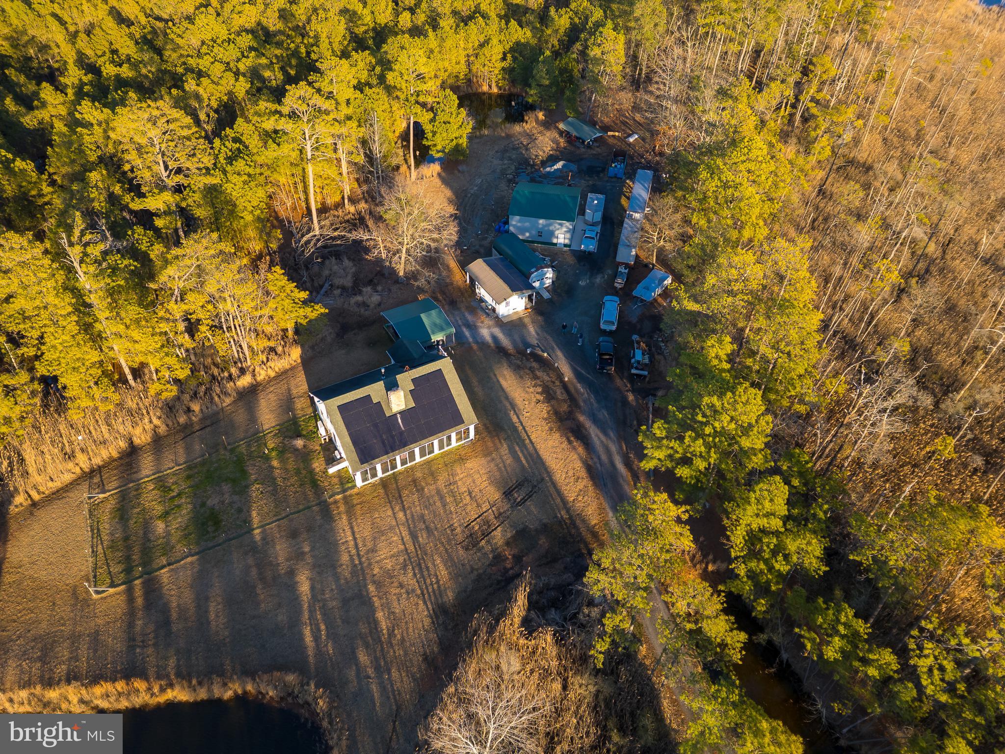 3819 Maple Dam Road Cambridge, MD 21613 - Photo 42 of 79 a view of a tree with a yard