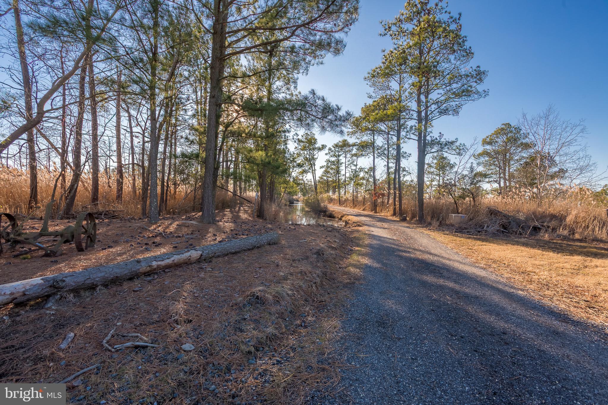 3819 Maple Dam Road Cambridge, MD 21613 - Photo 45 of 79 a view of a backyard with large trees