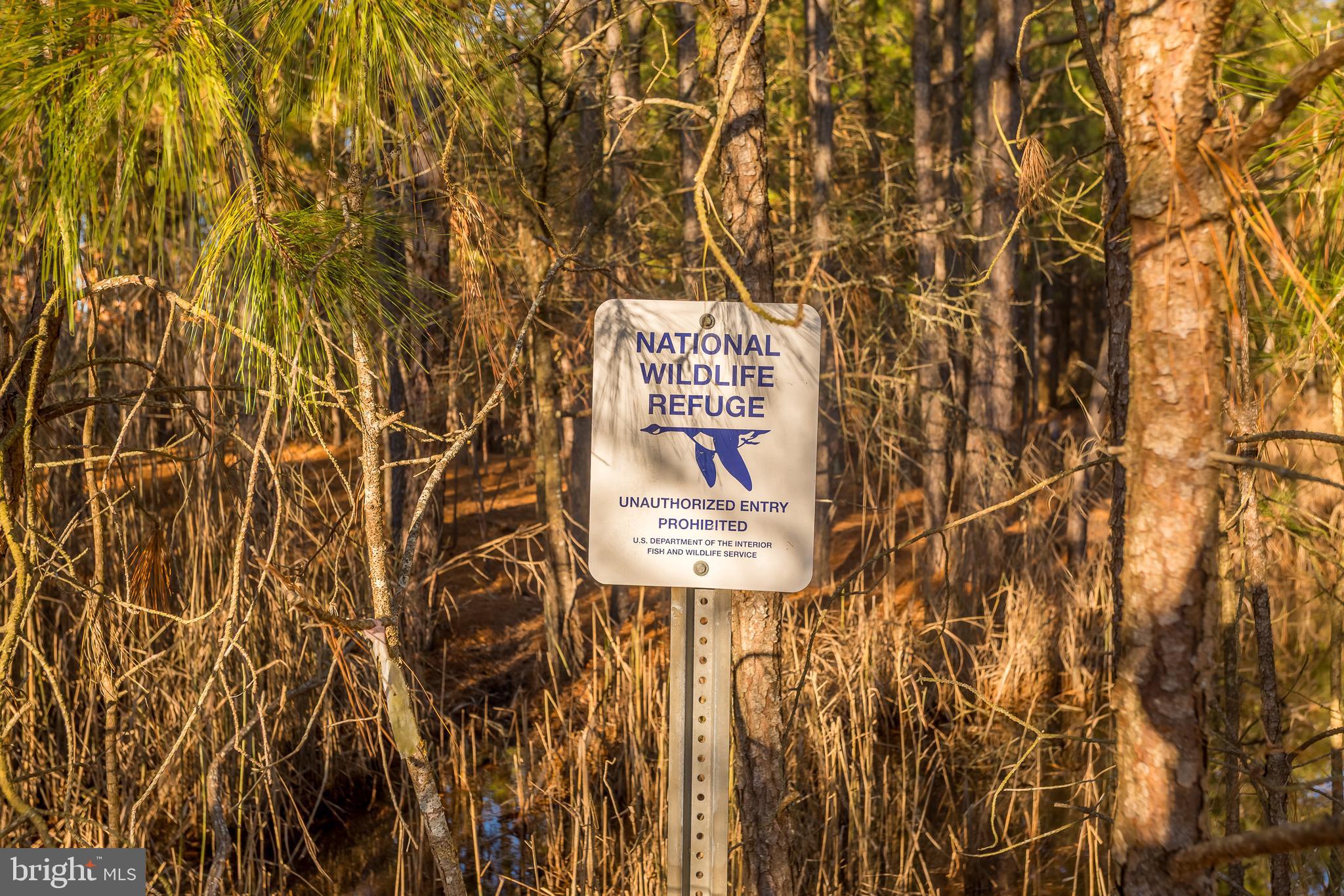 3819 Maple Dam Road Cambridge, MD 21613 - Photo 50 of 79 a sign that is sitting in front of a building