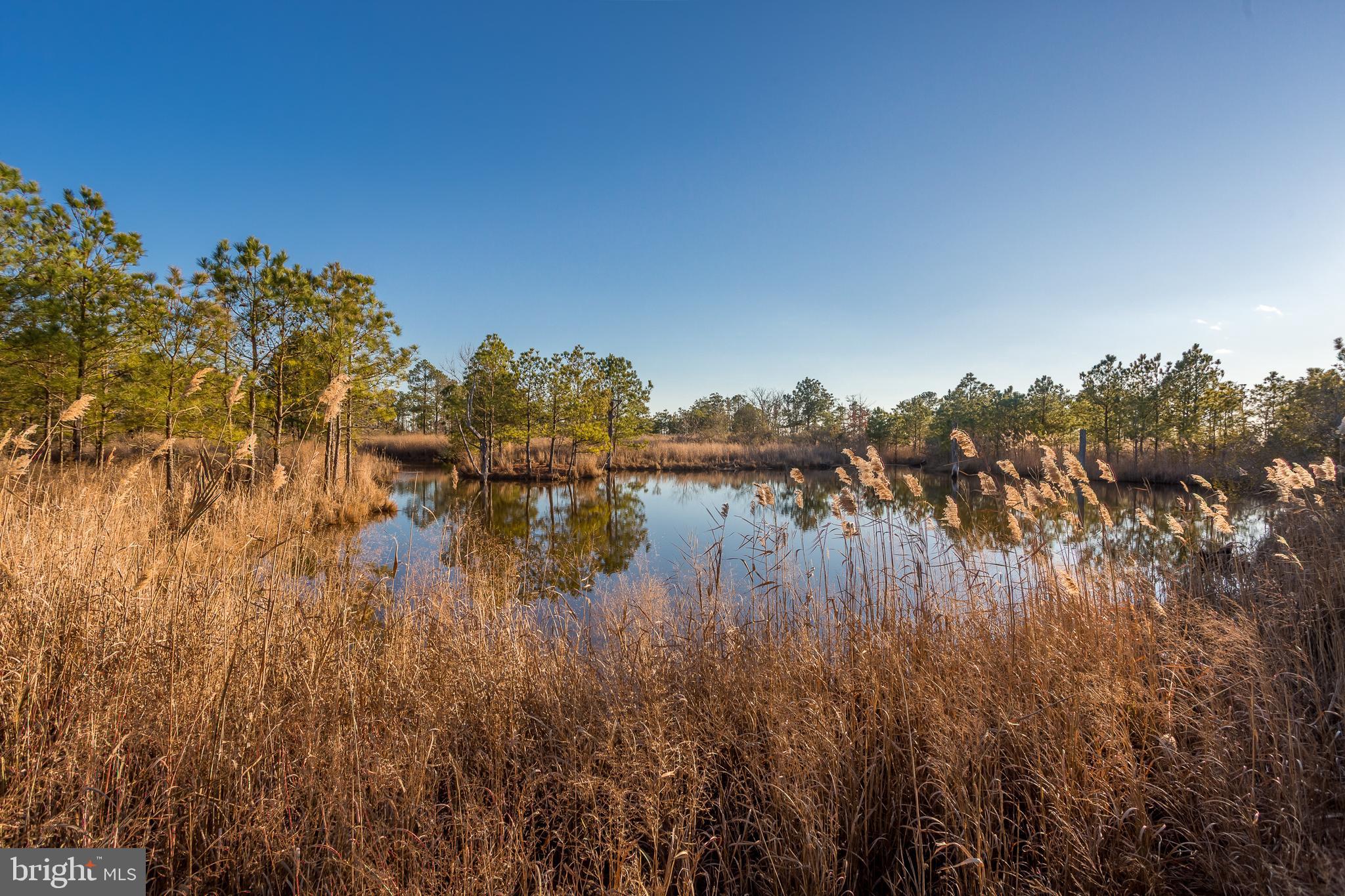 3819 Maple Dam Road Cambridge, MD 21613 - Photo 53 of 79