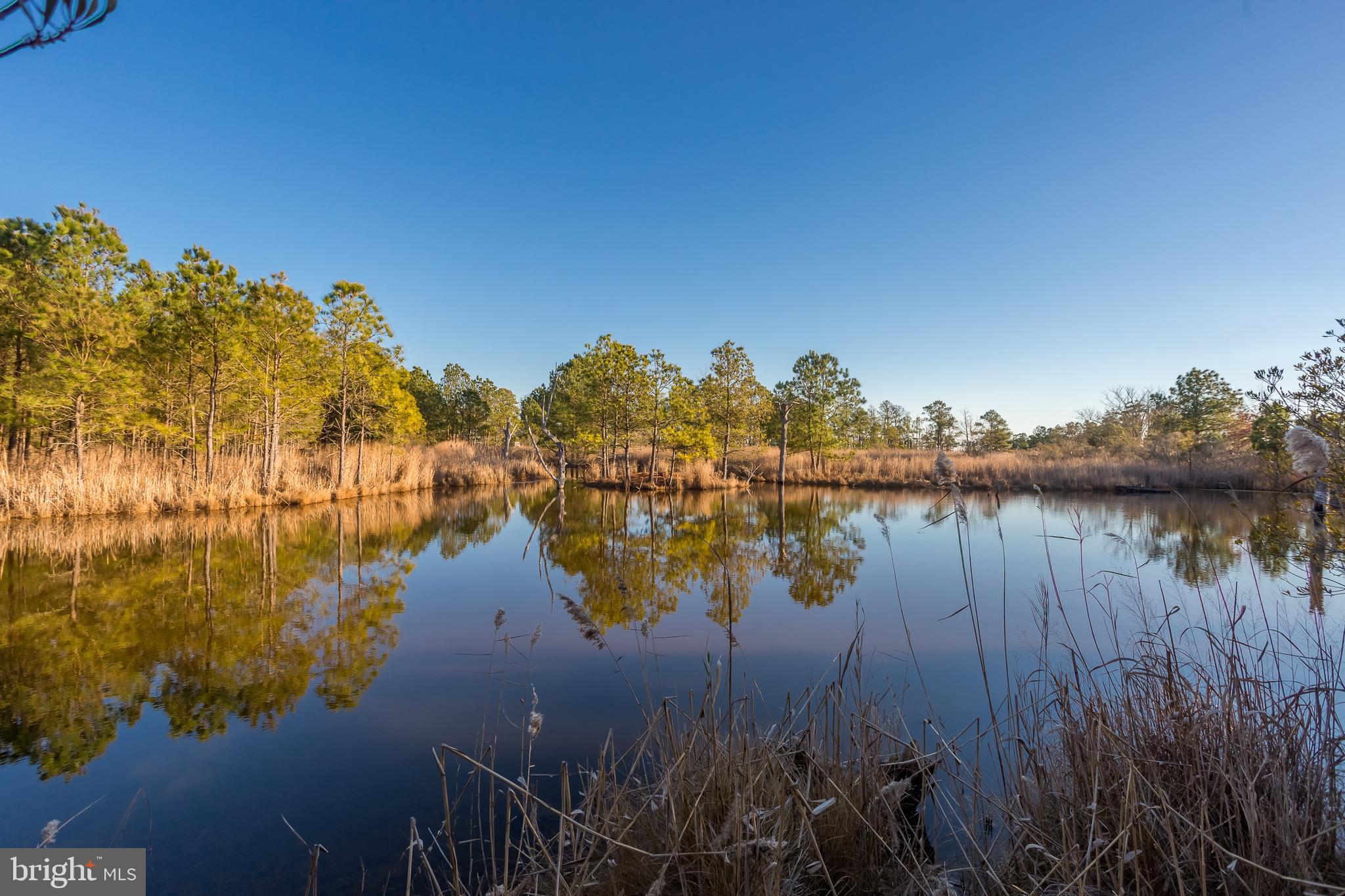 3819 Maple Dam Road Cambridge, MD 21613 - Photo 54 of 79