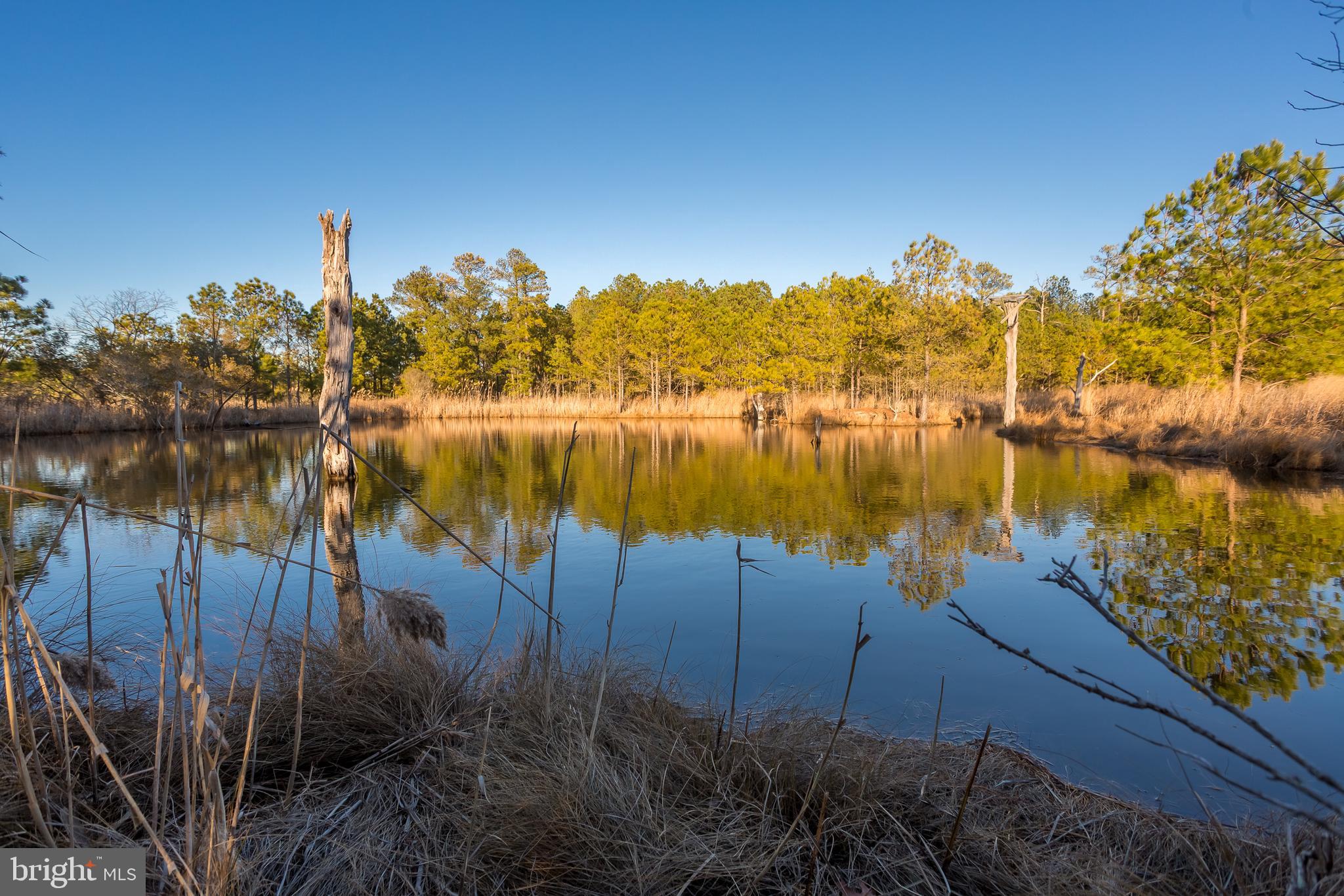 3819 Maple Dam Road Cambridge, MD 21613 - Photo 57 of 79 a view of a lake with a house in the background