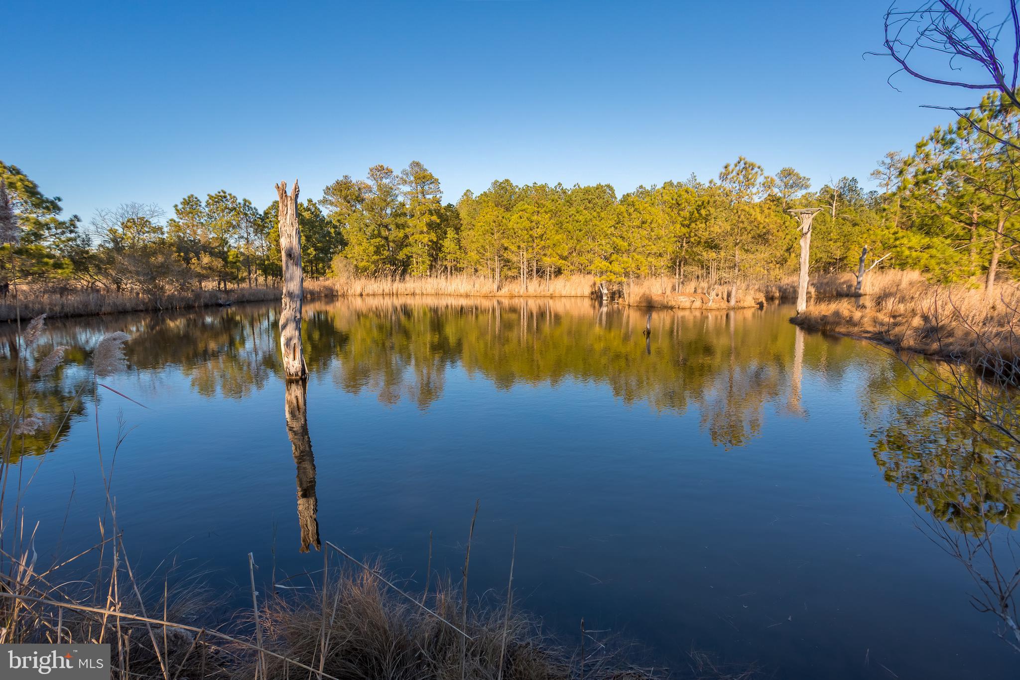 3819 Maple Dam Road Cambridge, MD 21613 - Photo 58 of 79 a view of a lake with houses