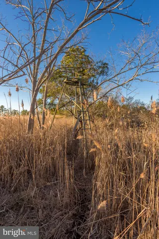 $749,000 | 3819 Maple Dam Road, Cambridge, MD 21613